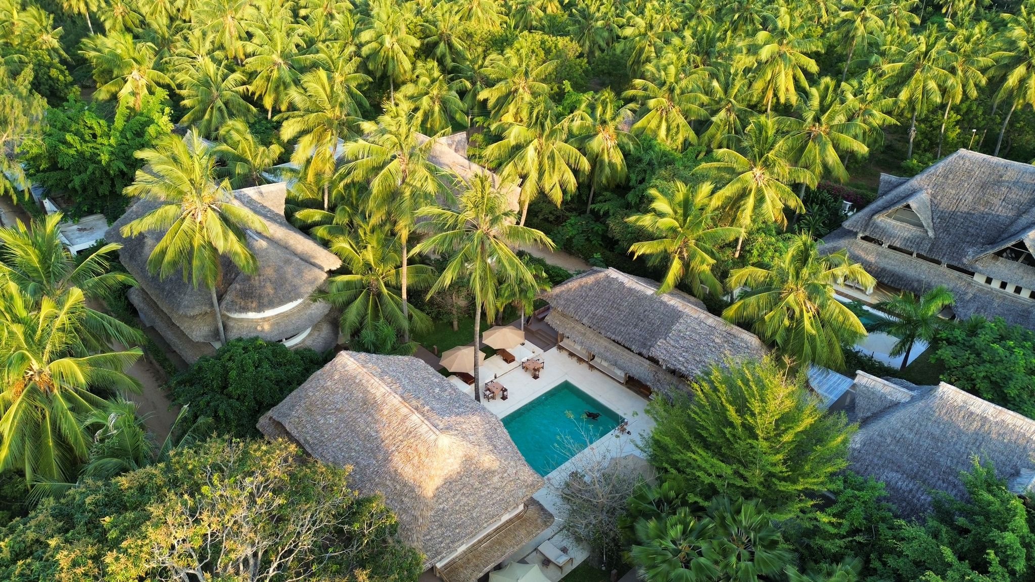 Aerial view of Palm Garden surrounded by gardens