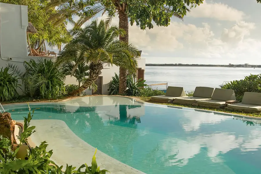Swimming pool framed by baobab trees